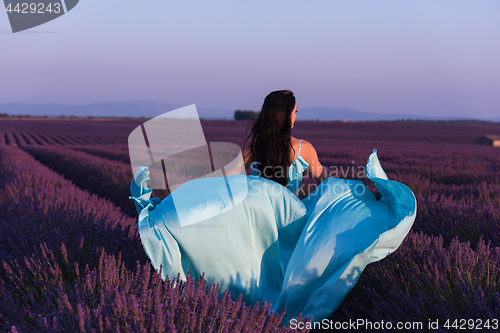 Image of woman in lavender flower field