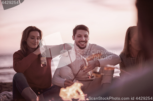 Image of Group Of Young Friends Sitting By The Fire at beach