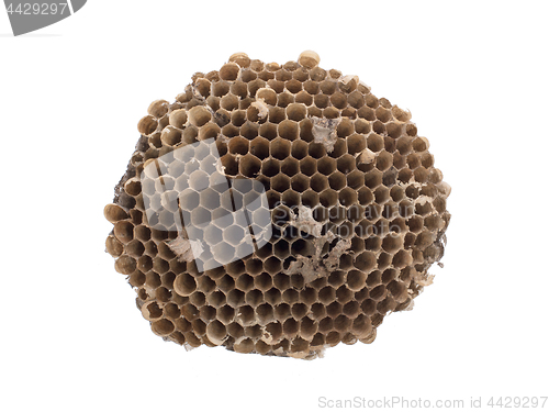 Image of Old honeycomb isolated 
