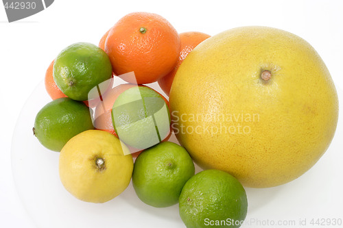 Image of Frutis on dishware
