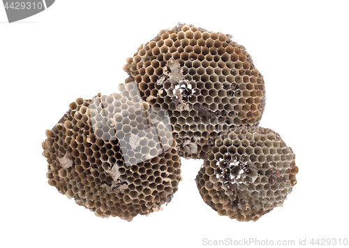 Image of Old honeycomb isolated 
