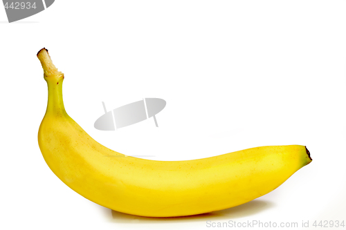 Image of One banana
