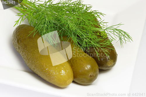 Image of Pickle and dill herbs