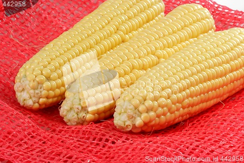 Image of Sweet corn