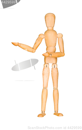 Image of Wooden mannequin presenting