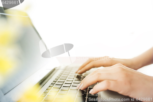 Image of Woman working on computer in office