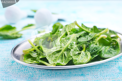 Image of spinach
