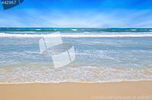 Image of tropical beach scene