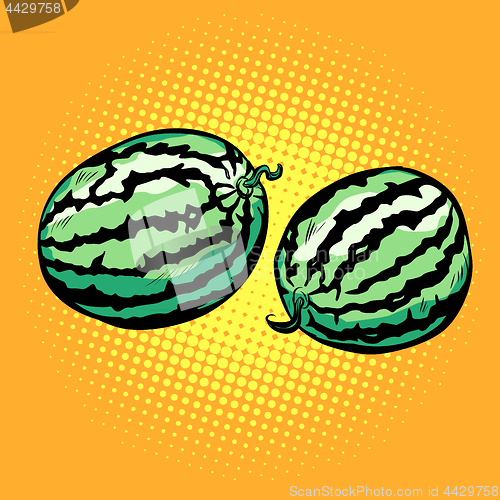 Image of Watermelon, isolated on a neutral background