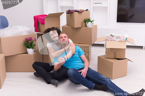 Image of young  gay couple moving  in new house