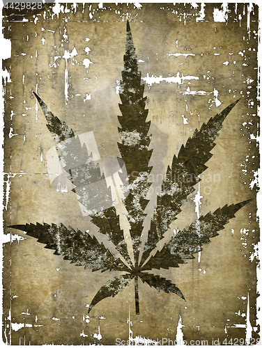 Image of hemp leaf