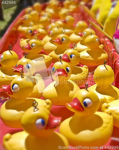 Image of lots of rubber ducks