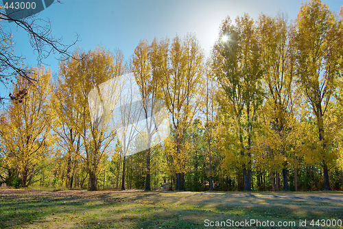 Image of park in autumn or fall