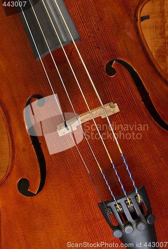 Image of cello or violin