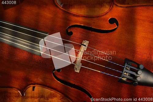 Image of cello or violin