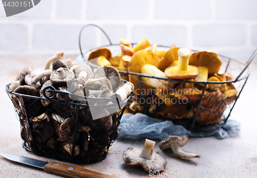 Image of mushrooms