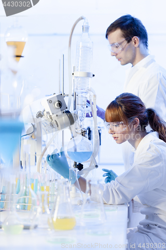 Image of Young chemists researching in life science laboratory.