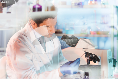 Image of Life science researcher microscoping in genetic scientific laboratory.