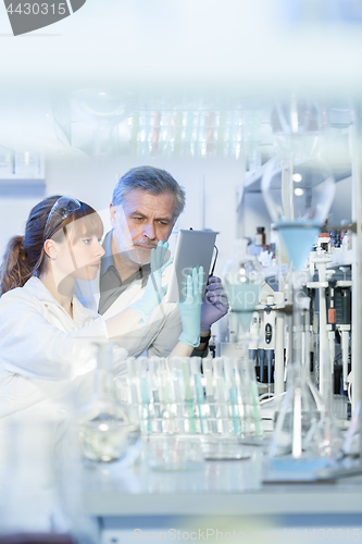 Image of Health care researchers working in scientific laboratory.