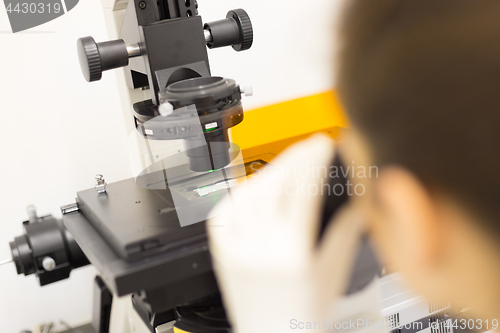 Image of Life science researcher microscoping in genetic scientific laboratory.