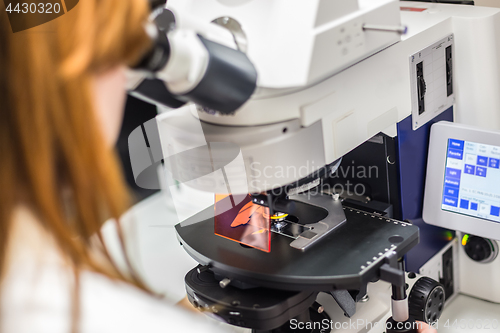 Image of Helth care professional microscoping on hi-tec fluorescent microscope.