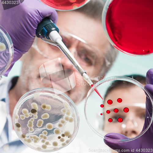 Image of Life scientists researching in the health care laboratory.