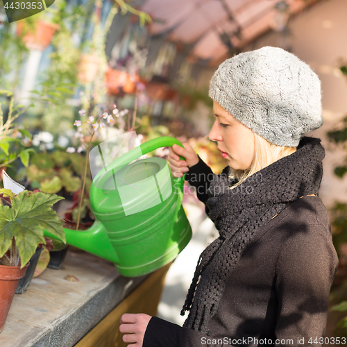 Image of Florists woman working in greenhouse. 