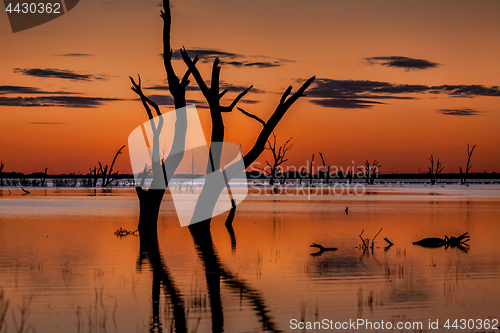 Image of Dusk skies over the magnificent Menindee Lake