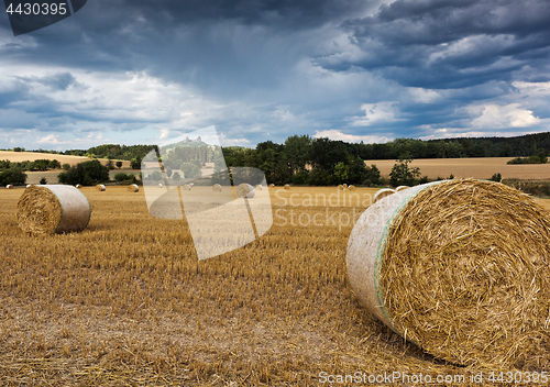 Image of Summer landscape with field and Trosky Castle, Czech Republic