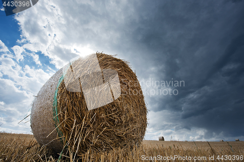 Image of A straw pack in a field in summer