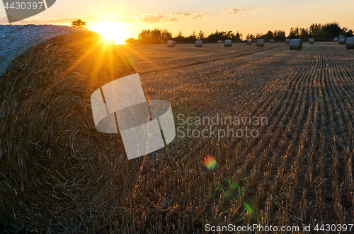 Image of A straw pack in a field in the evening