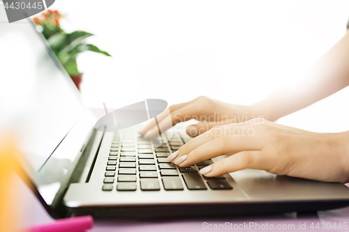 Image of Woman working on computer in office