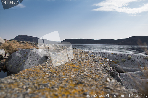 Image of 
