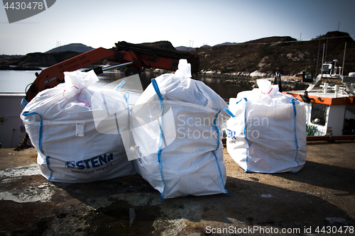 Image of Picking up Plastic Waste