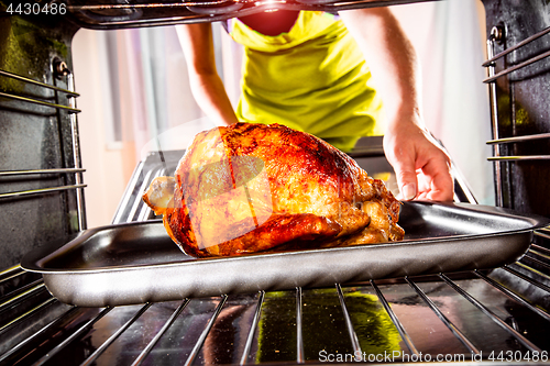 Image of Cooking chicken in the oven at home.