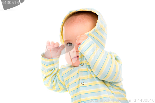Image of Little Baby isolated on white background. The baby hides his fac