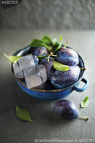 Image of Plum