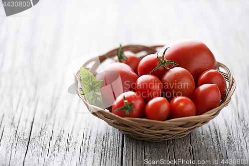 Image of Tomato