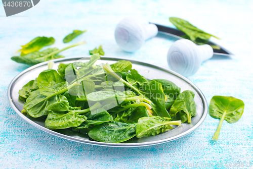 Image of spinach