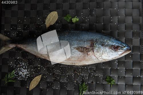 Image of Tuna fresh fish