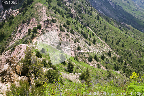 Image of Slope of a mountain