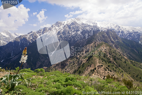 Image of Chimgan mountains, Uzbekistan