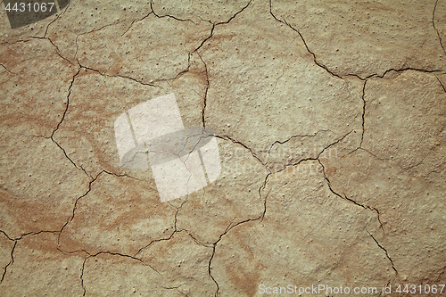 Image of Cracked earth close-up