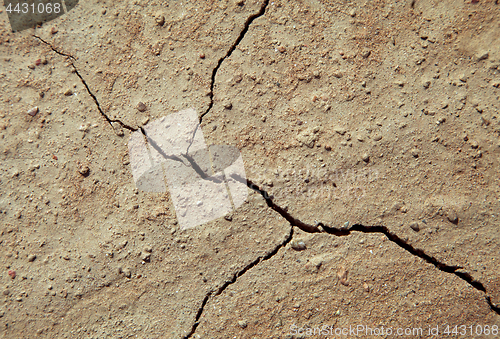 Image of Cracked earth close-up