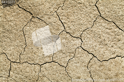 Image of Cracked earth close-up