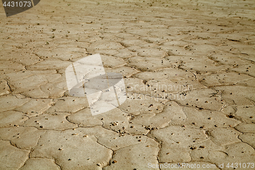 Image of Cracked earth close-up