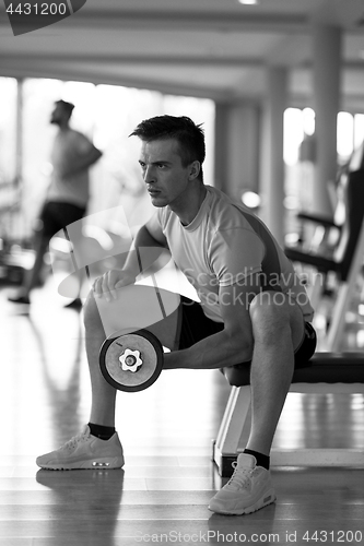 Image of handsome man working out with dumbbells