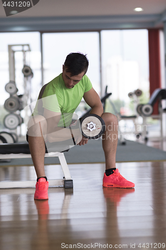 Image of handsome man working out with dumbbells