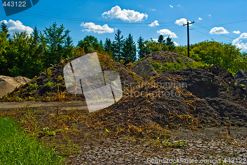 Image of Soil Mounds