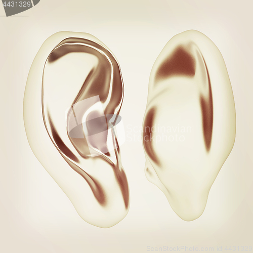 Image of Ear model. 3d illustration. Vintage style